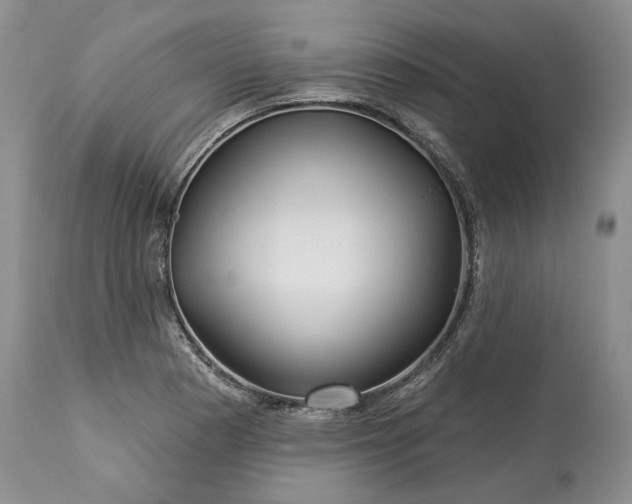 X0000114211177200910231359