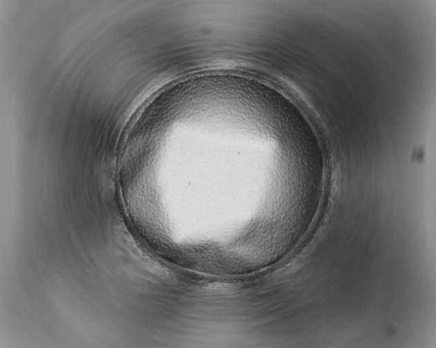 X0000114211178200910231359