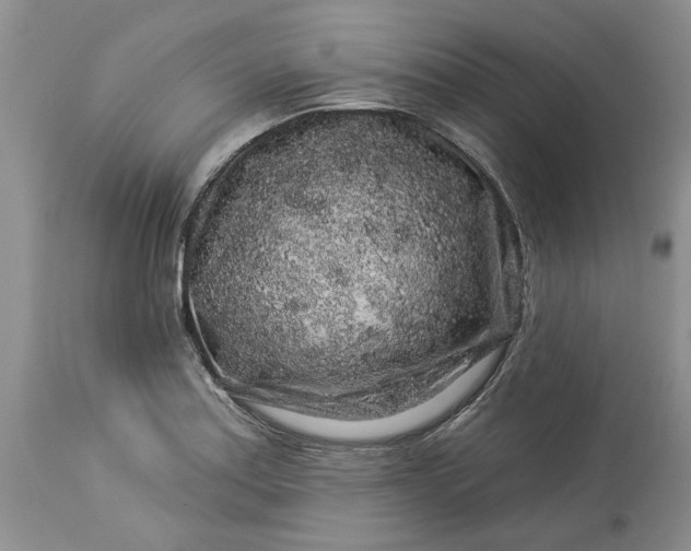 X0000114211179200910231359