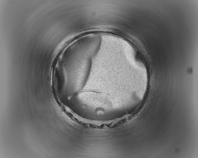 X0000114211180200910231359