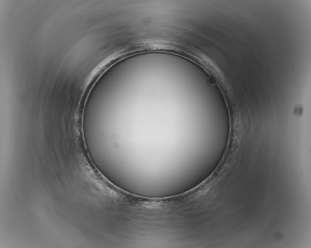 X0000114211182200910231359