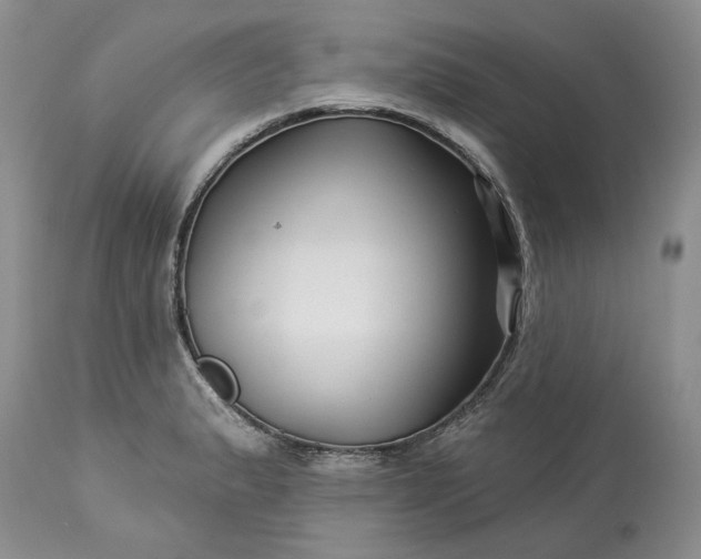 X0000114211183200910231359