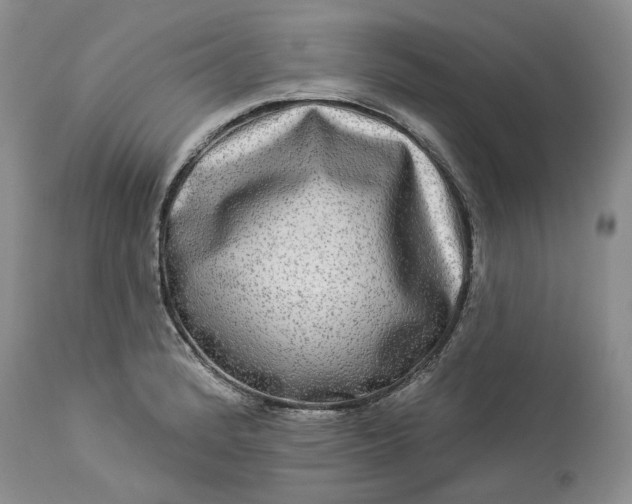 X0000114211184200910231359