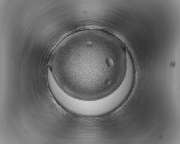 X0000114211185200910231359