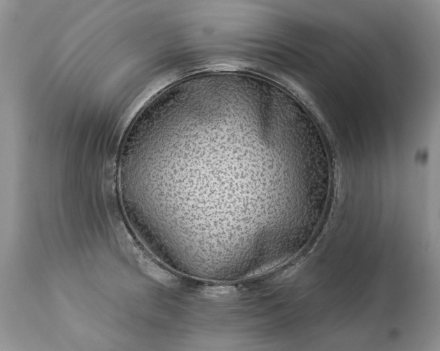 X0000114211186200910231359