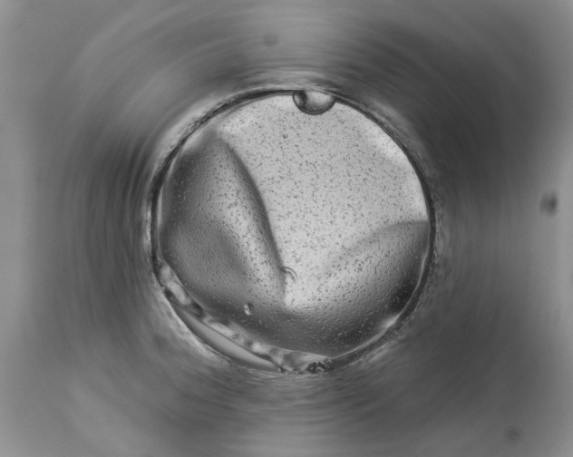 X0000114211188200910231359