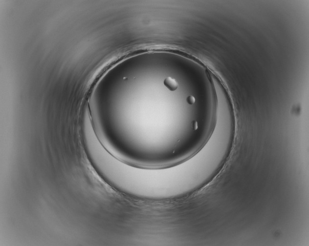 X0000114211189200910231359