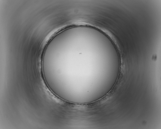 X0000114211191200910231359
