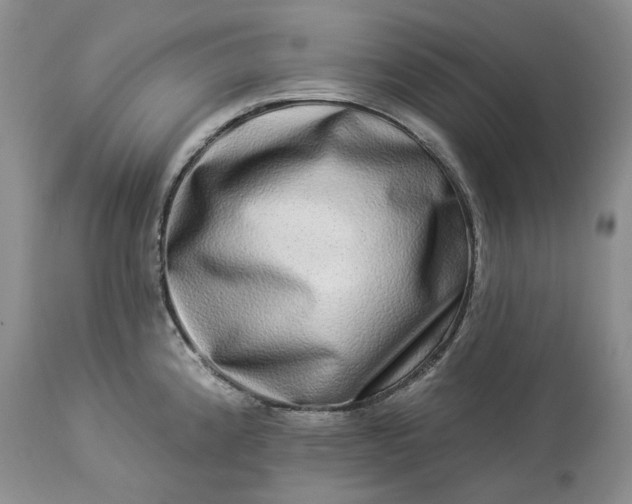 X0000114211192200910231359