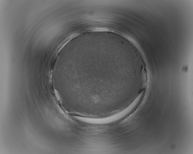 X0000114211193200910231359