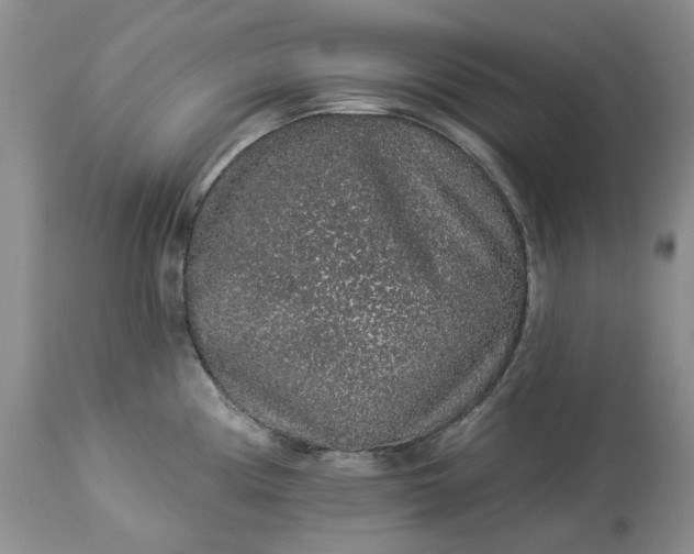X0000114211194200910231359