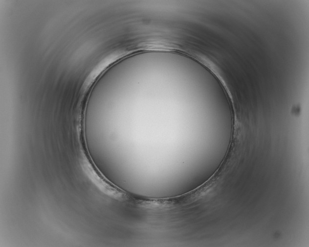 X0000114211195200910231359
