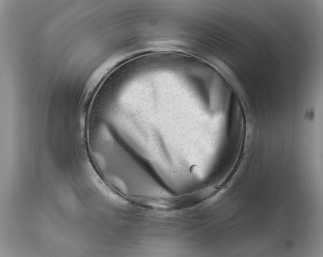 X0000114211196200910231359