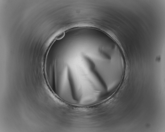 X0000114211197200910231359