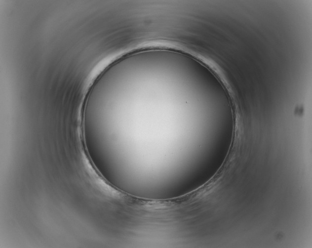 X0000114211199200910231359