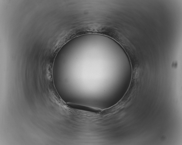 X0000114211202200910231358