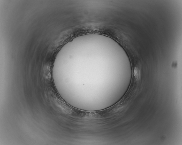X0000114211203200910231358