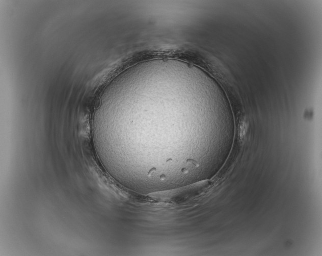 X0000114211204200910231358