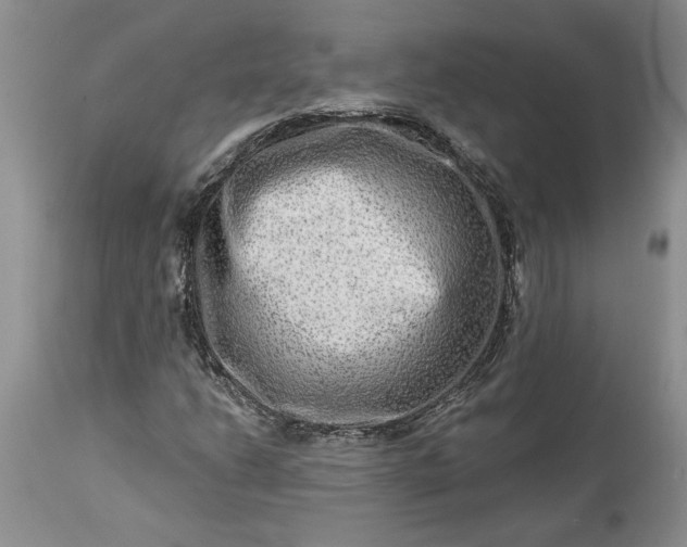 X0000114211206200910231358