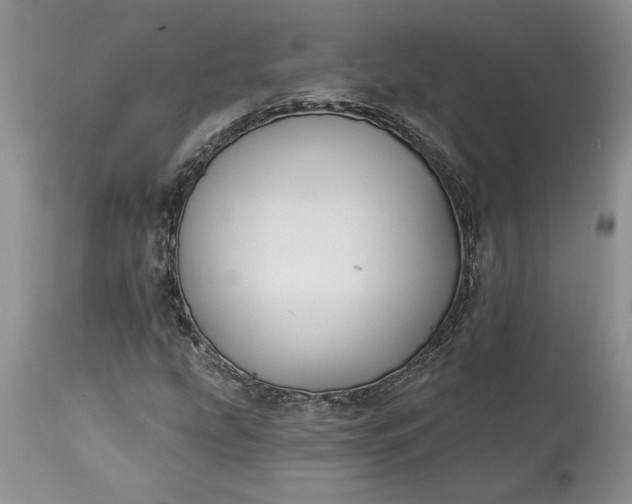 X0000114211207200910231358