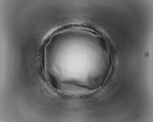 X0000114211208200910231358