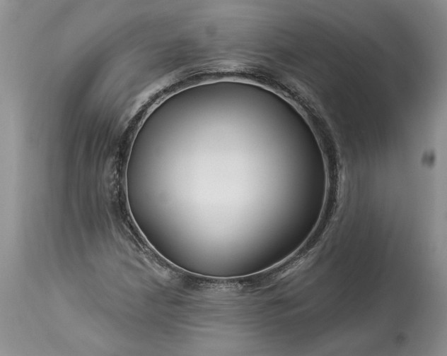 X0000114211210200910231358