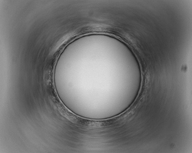 X0000114211211200910231358