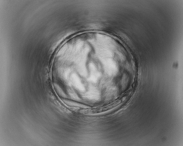 X0000114211212200910231358