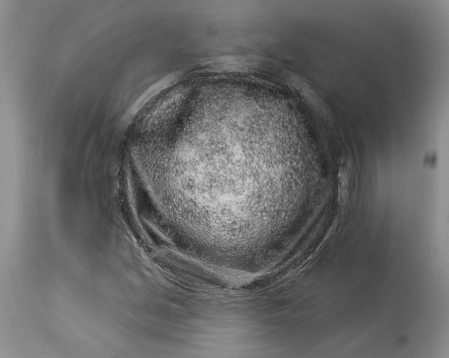 X0000114211213200910231358