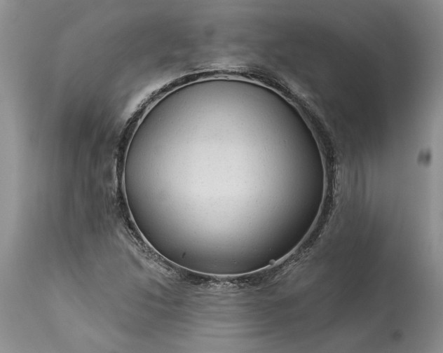 X0000114211214200910231358