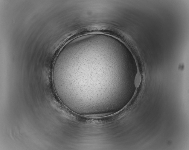 X0000114211217200910231358