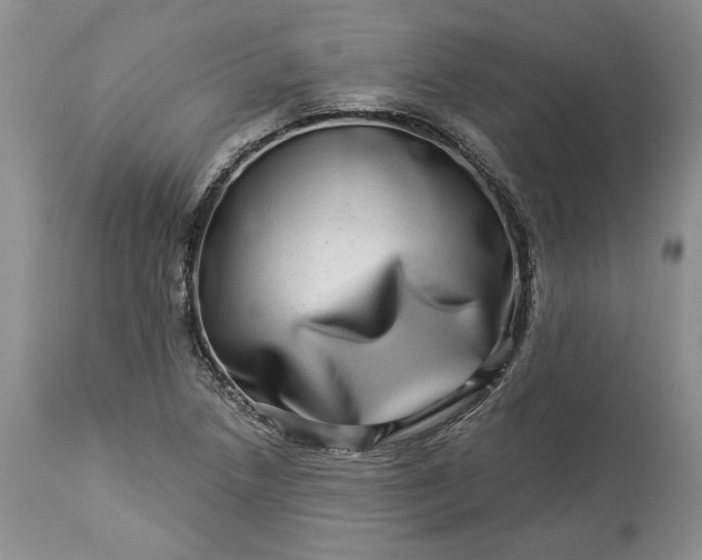 X0000114211218200910231358