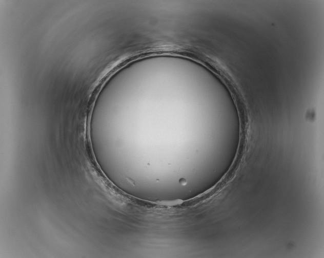 X0000114211220200910231358