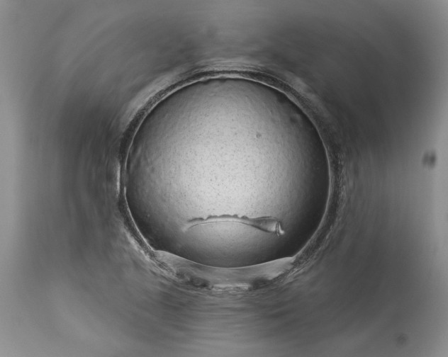 X0000114211221200910231358