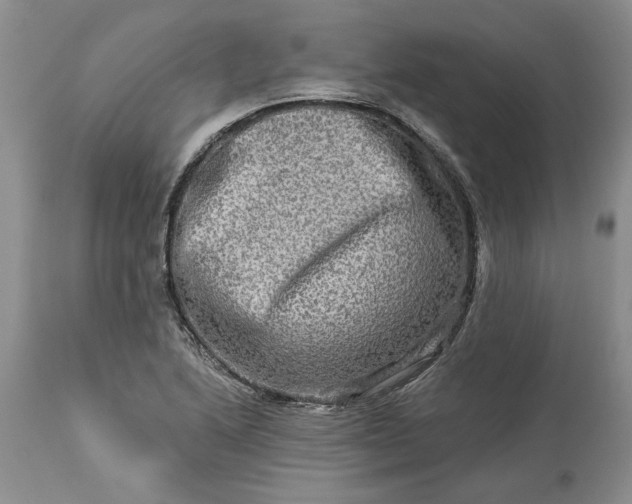 X0000114211222200910231358