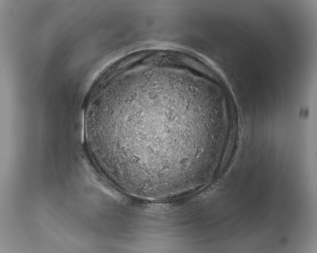 X0000114211223200910231358