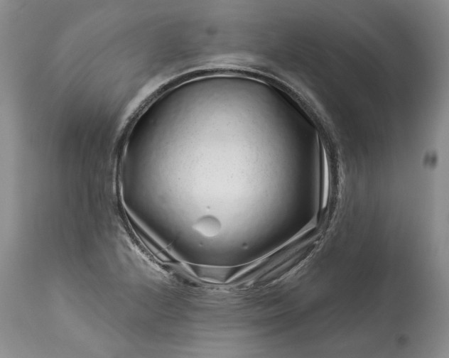 X0000114211224200910231358