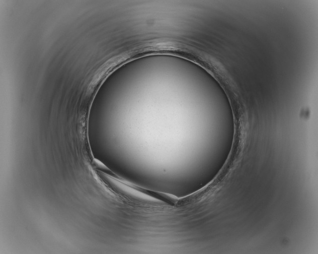 X0000114211225200910231358
