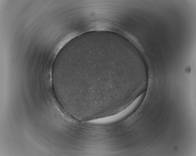 X0000114211226200910231358
