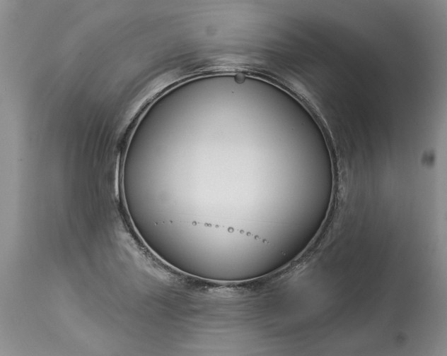 X0000114211227200910231358