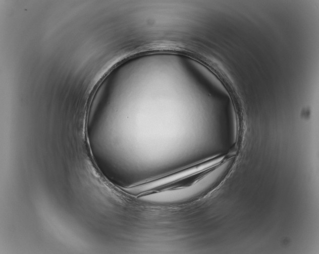 X0000114211228200910231358