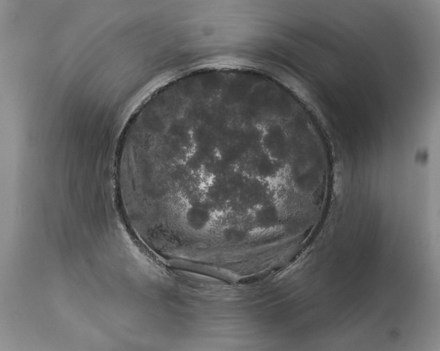 X0000114211229200910231358