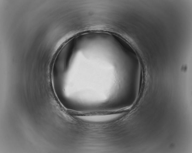 X0000114211230200910231358