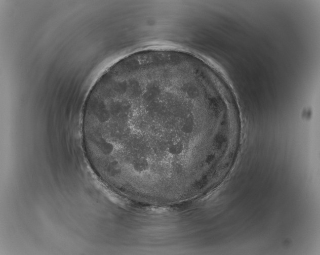 X0000114211231200910231358