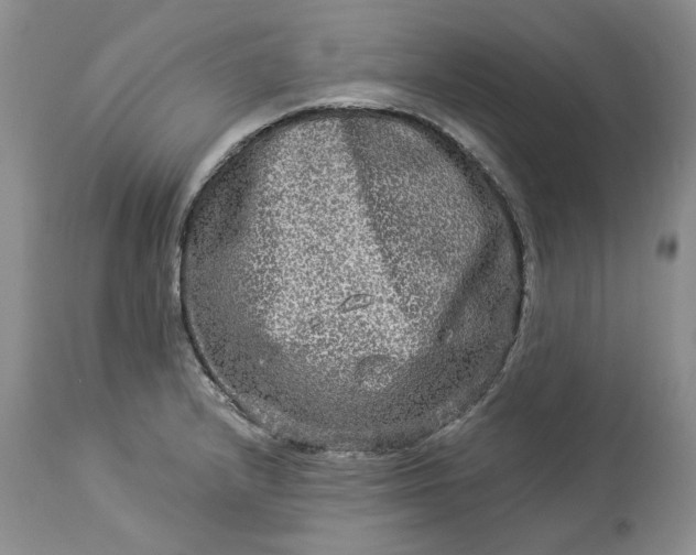 X0000114211232200910231358