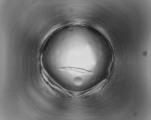 X0000114211235200910231358