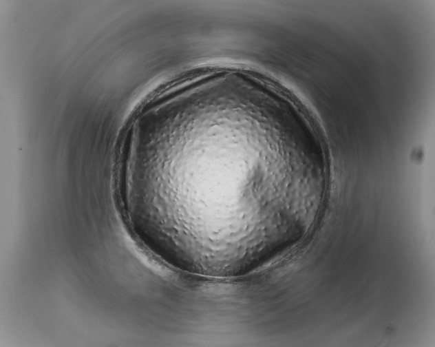 X0000114211237200910231358