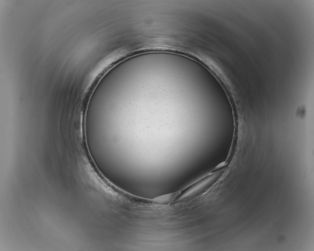 X0000114211238200910231358