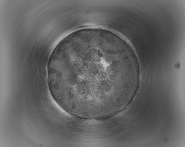 X0000114211239200910231359