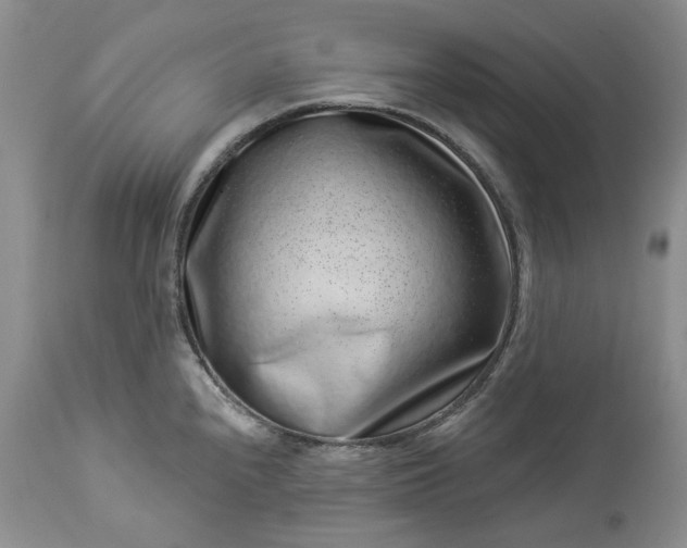 X0000114211240200910231359